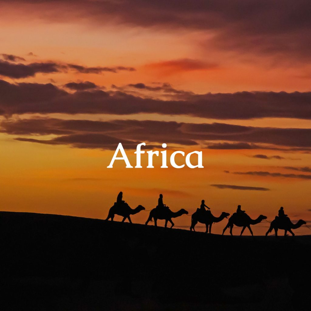 Image from the Sahara Desert with five camels with shapes on them. In the foreground, the text 'Africa'